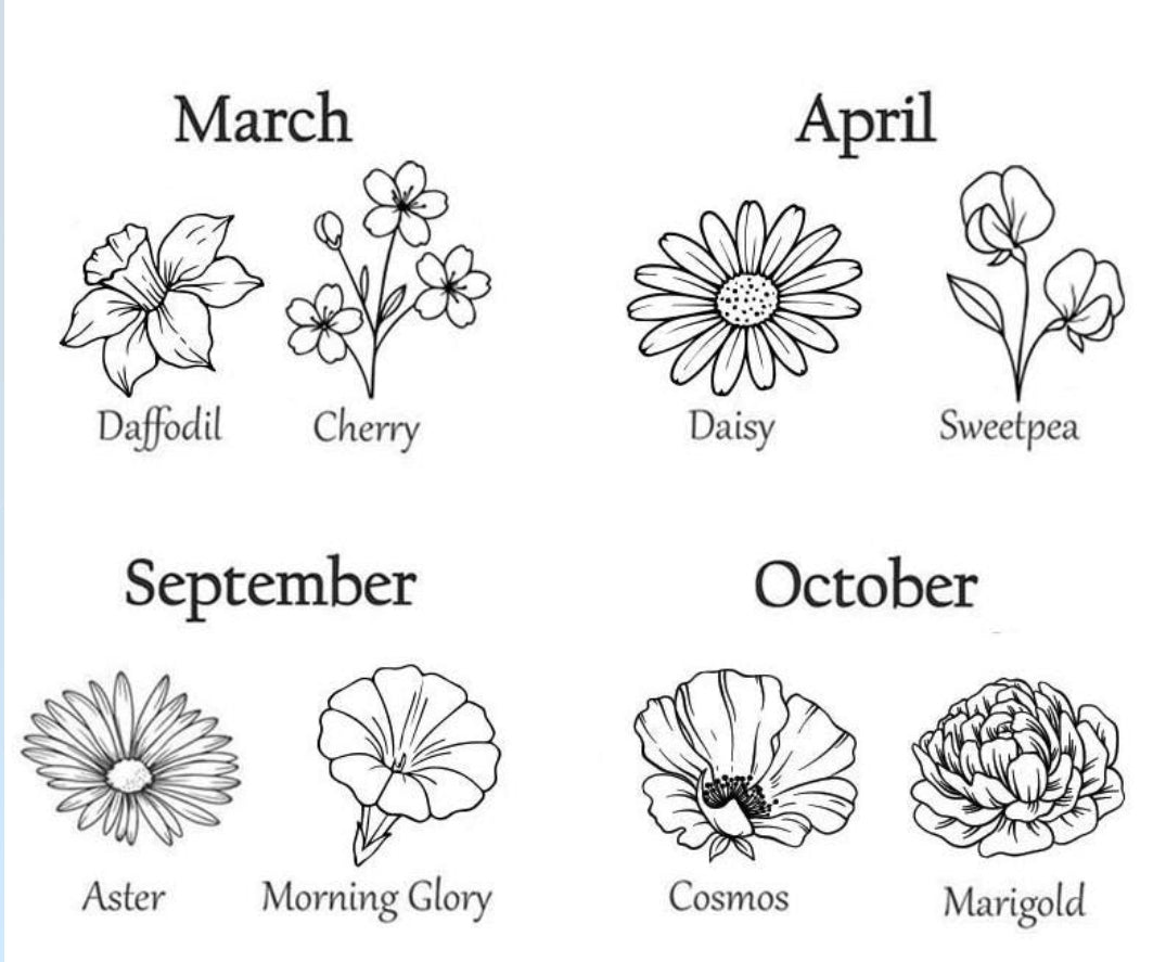 Birth Flower 30 oz. Tumbler